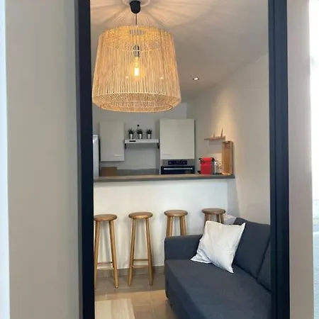 Apartment T2 Gaucher A 200m Du Centre *